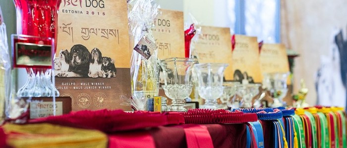 Tibetdog 2015