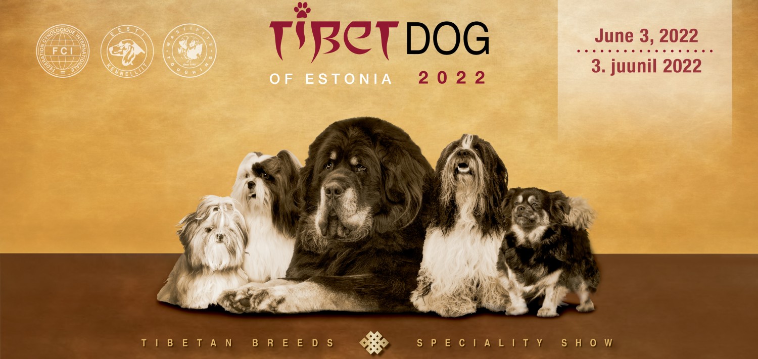 Tibetdog of Estonia