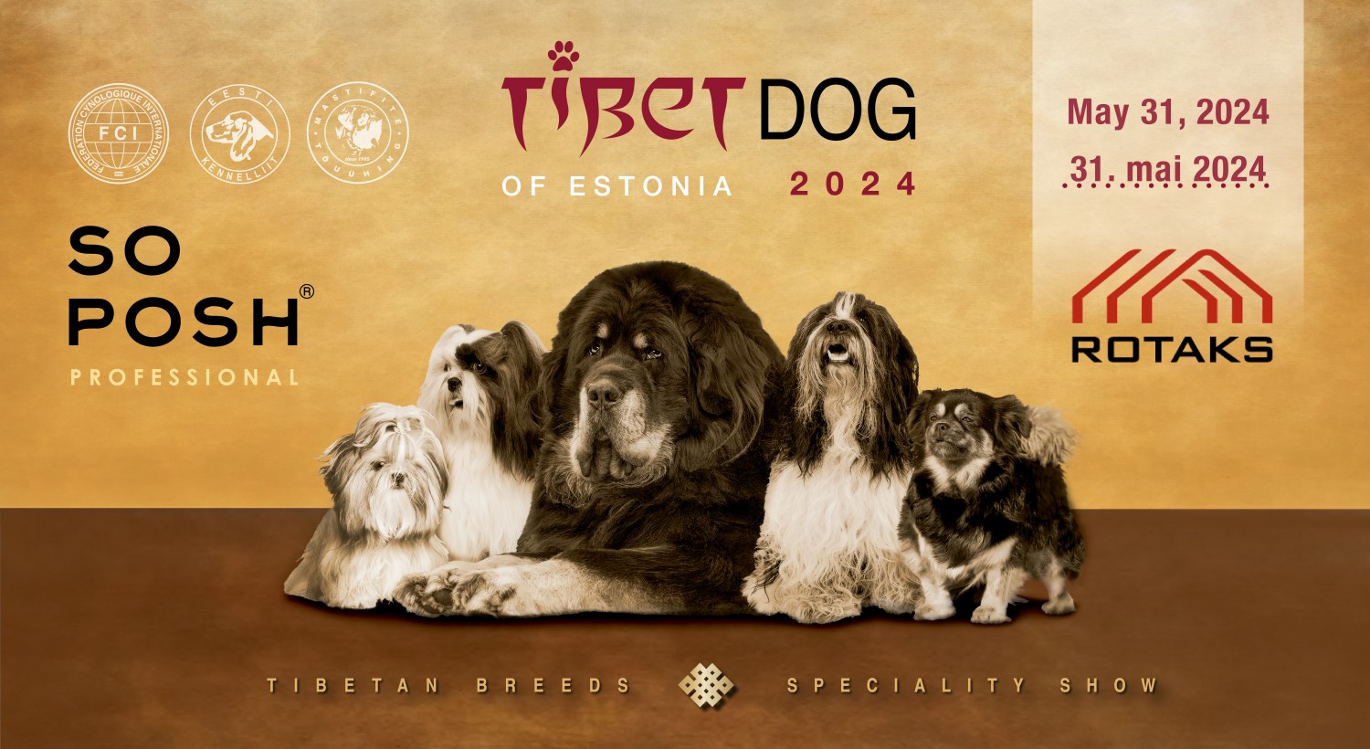 Tibetdog of Estonia
